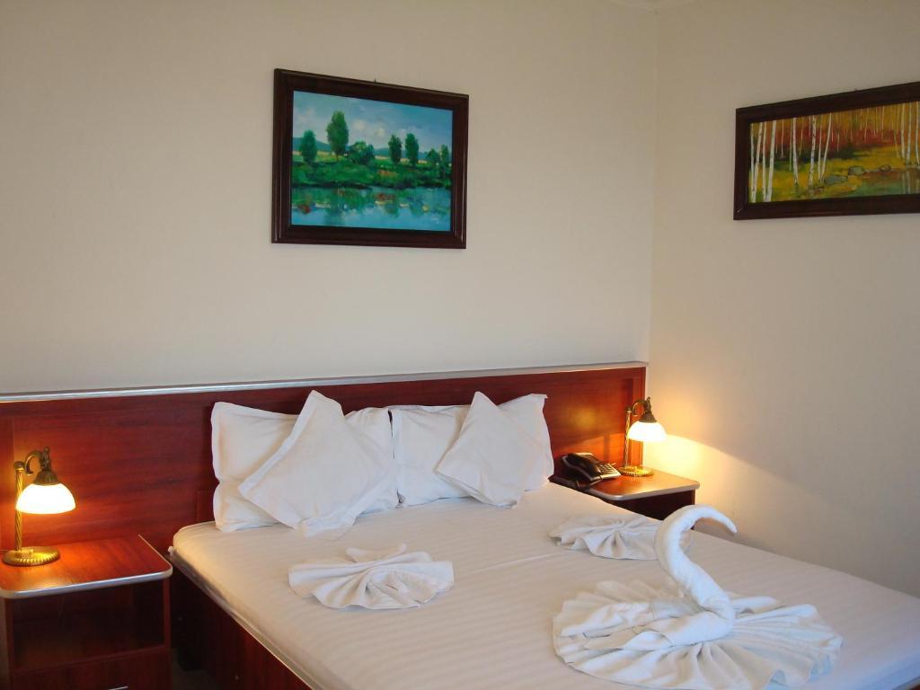 Hotel Ami Băile Felix Oda fotoğraf