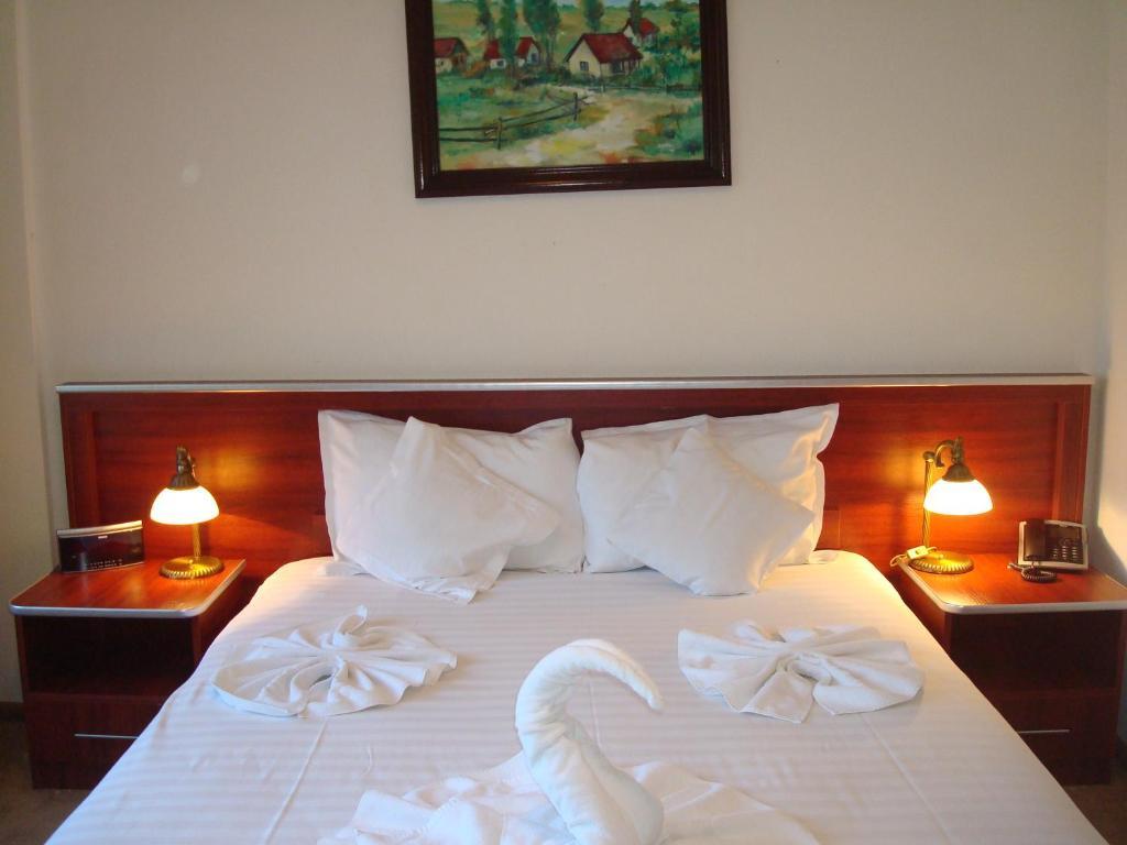 Hotel Ami Băile Felix Oda fotoğraf